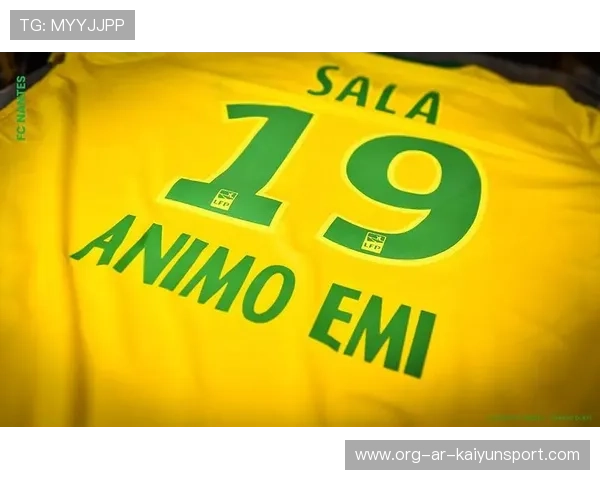 南特后防连续失球，主帅或将调整战术，南特球衣